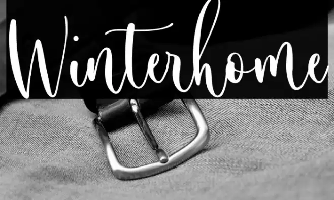 Winterhome Font examples