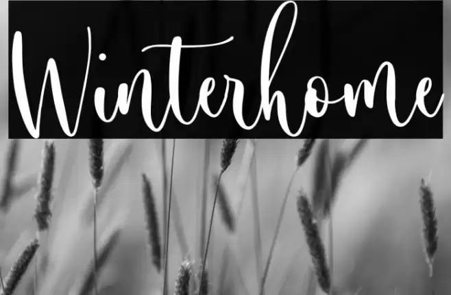Winterhome Font examples