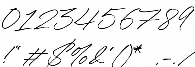 Winterlady Font OTHER CHARS