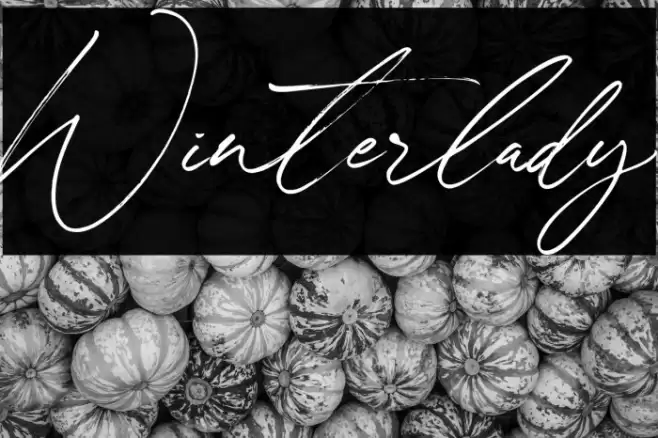 Winterlady Font examples
