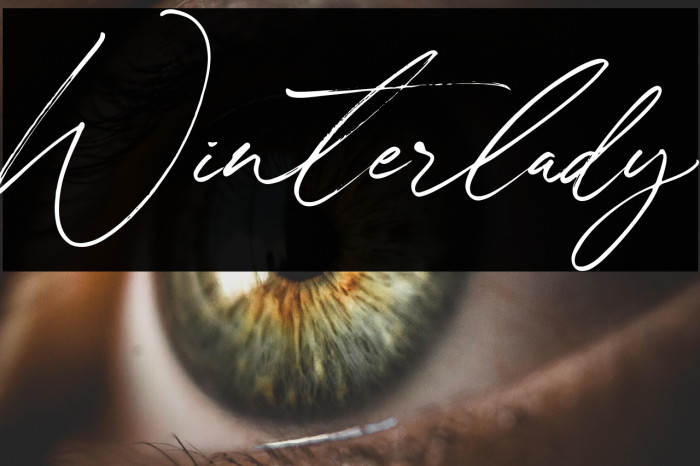 Winterlady Example 2