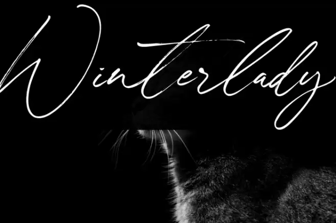 Winterlady Font examples