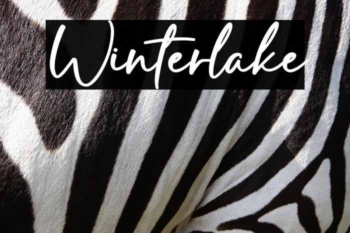 Winterlake Example 2