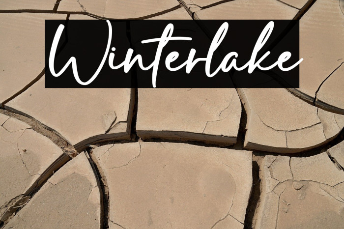 Winterlake Example 3