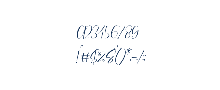Winterland Italic Other Characters