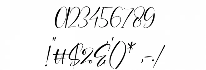 Winterland Italic Font OTHER CHARS