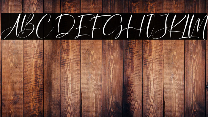 Winterland Italic Example 1