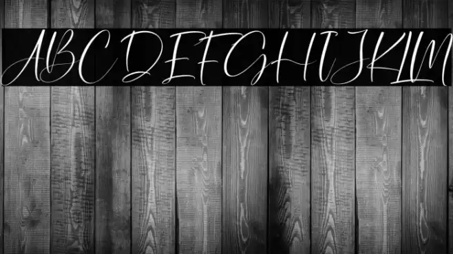 Winterland Italic Font examples