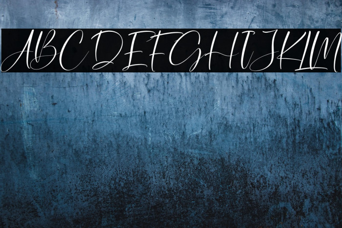 Winterland Italic Example 3