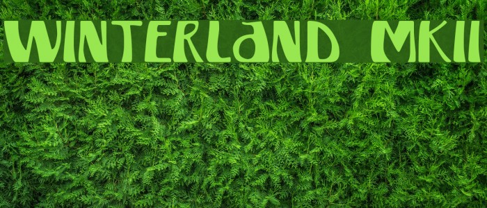 Winterland [MKII] Example 1