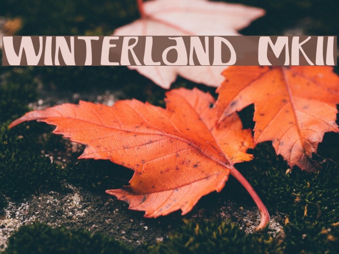 Winterland [MKII] Example 2