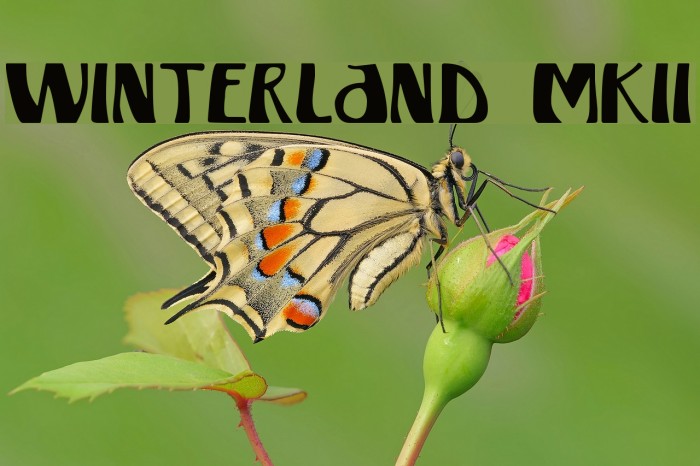 Winterland [MKII] Example 3