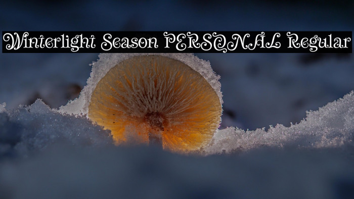Winterlight Season PERSONAL Regular Example 3