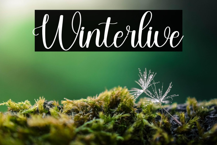 Winterlive Example 1