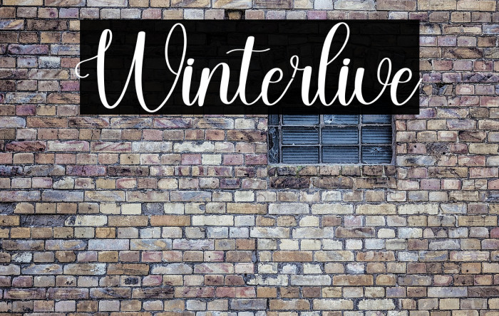 Winterlive Example 2