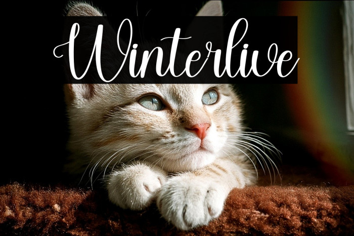 Winterlive Example 3