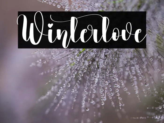 Winterlove Example 1