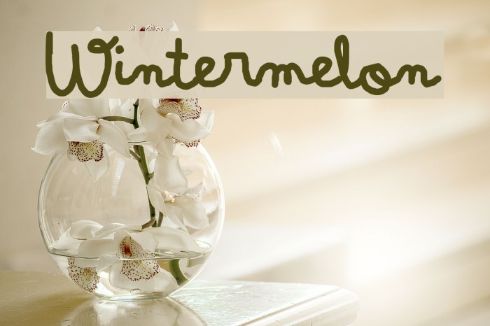 Wintermelon Font examples
