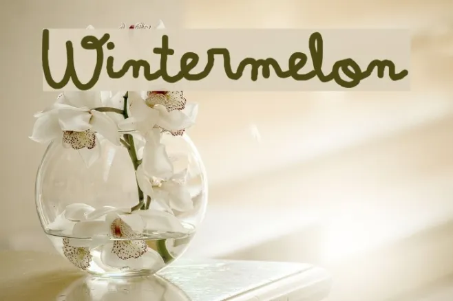 Wintermelon Example 3