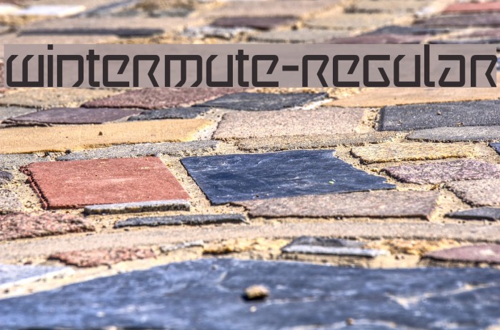 Wintermute-Regular Example 1