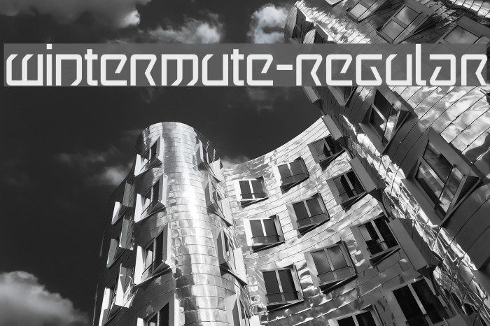 Wintermute-Regular Example 2