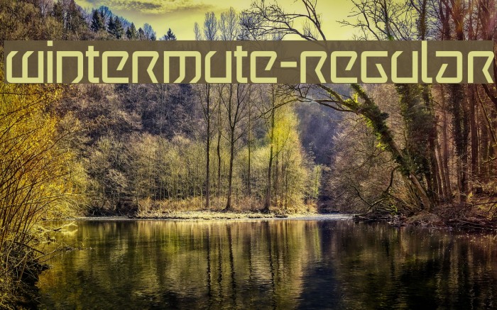 Wintermute-Regular Example 3