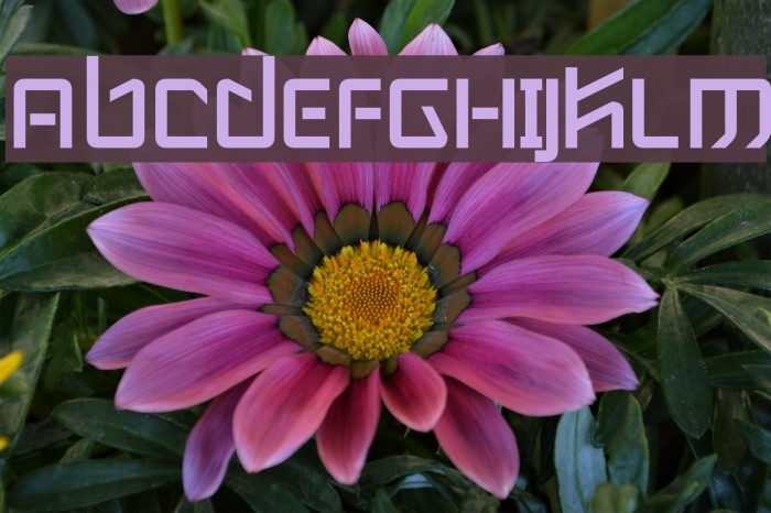 Wintermute Font examples