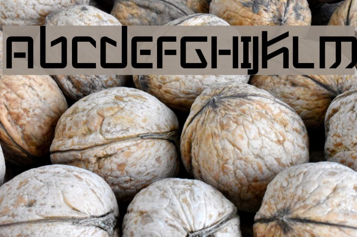 Wintermute Font examples