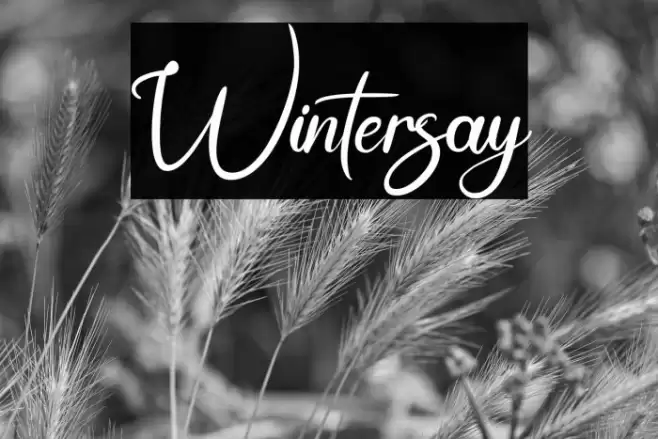 Wintersay Font examples