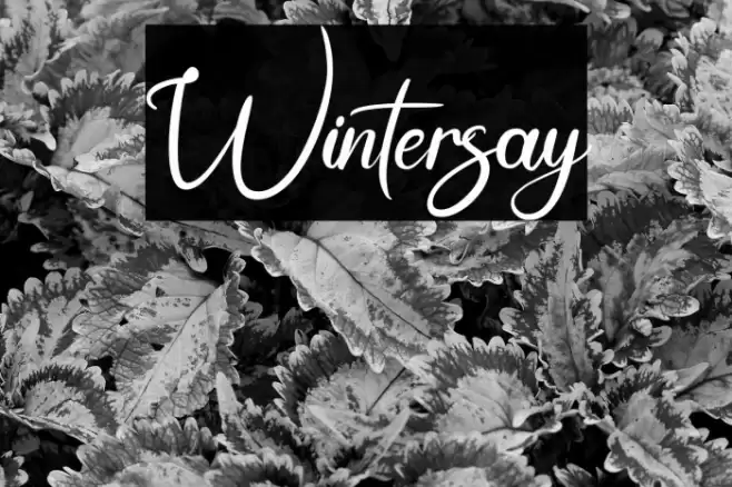 Wintersay Font examples