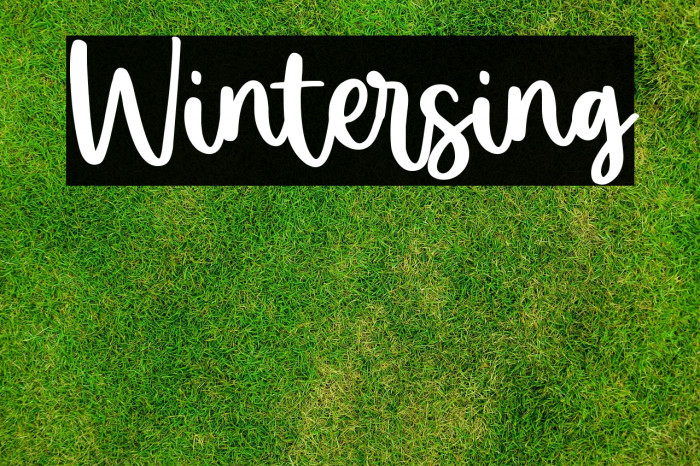 Wintersing Example 1