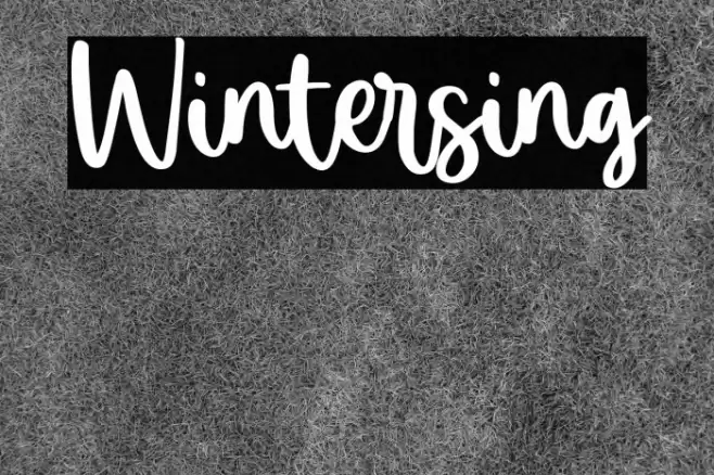 Wintersing Font examples
