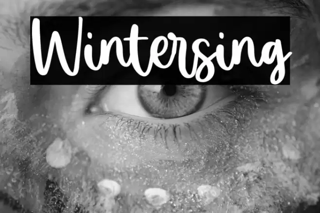 Wintersing Font examples