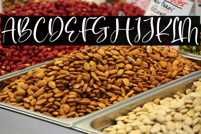 Wintersnow Example 1