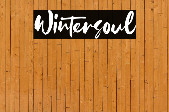 Wintersoul Example 3