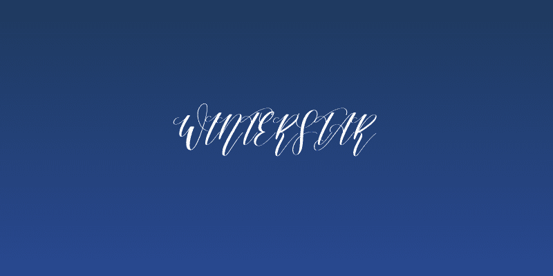 Winterstar Social Header