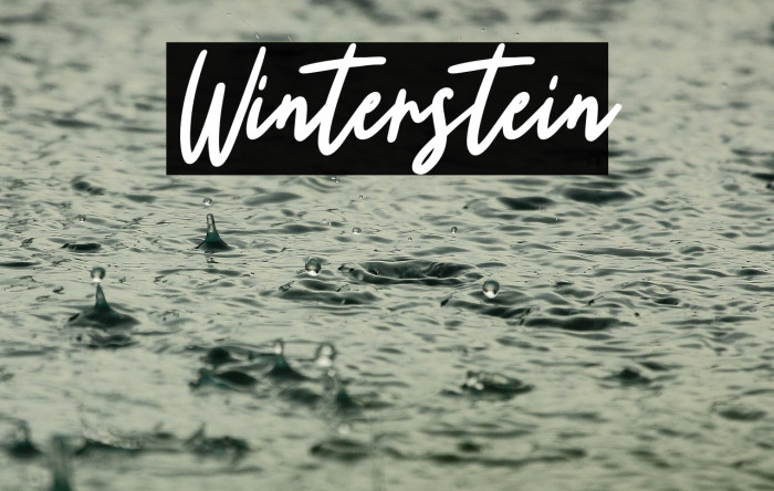 Winterstein Example 3