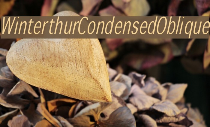 WinterthurCondensedOblique Font examples