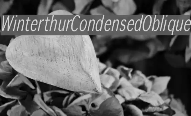 WinterthurCondensedOblique Шрифта examples