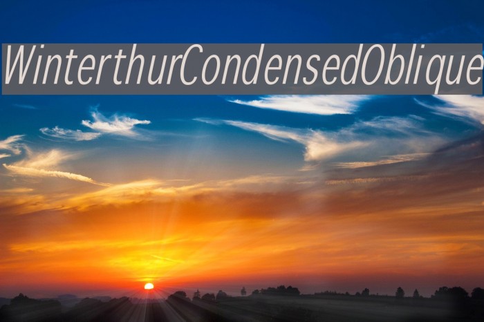 WinterthurCondensedOblique Font examples