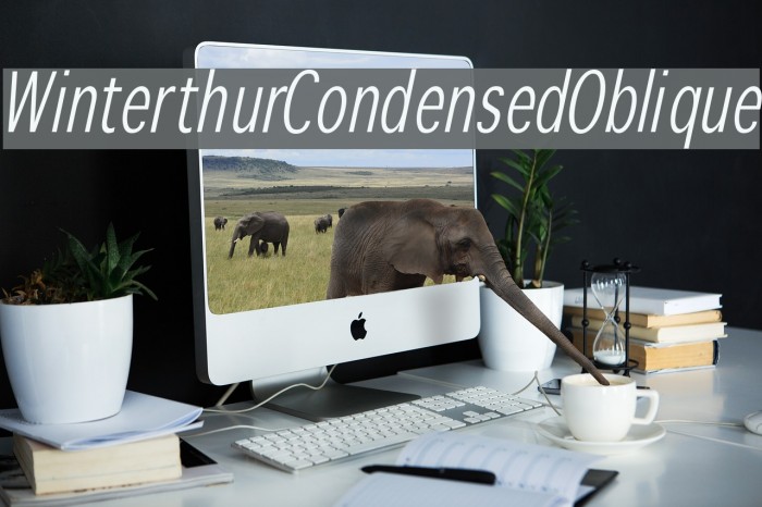 WinterthurCondensedOblique Font examples