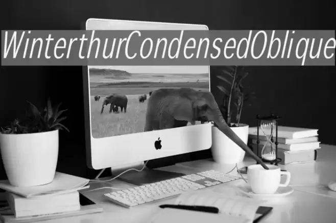 WinterthurCondensedOblique Шрифта examples