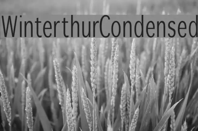 WinterthurCondensed Шрифта examples