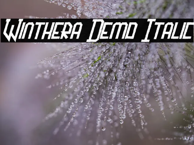 Winthera Demo Italic Example 1