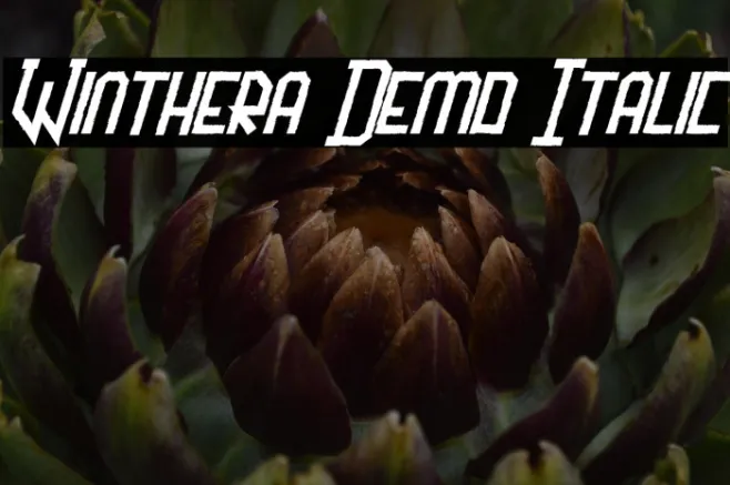 Winthera Demo Italic Example 3