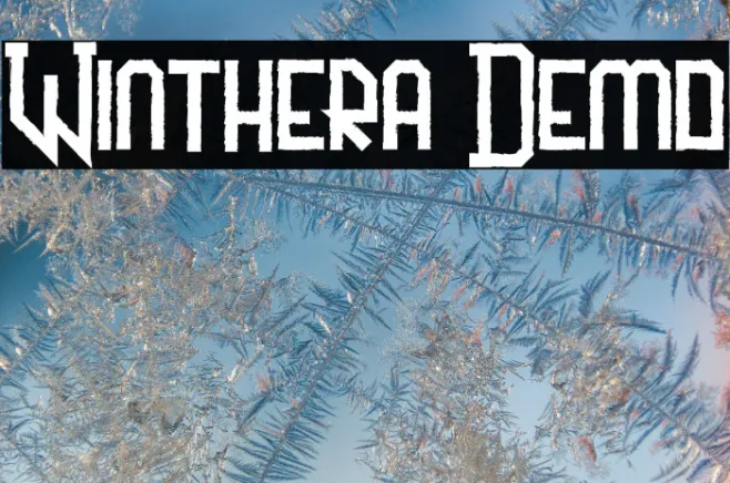 Winthera Demo Example 1