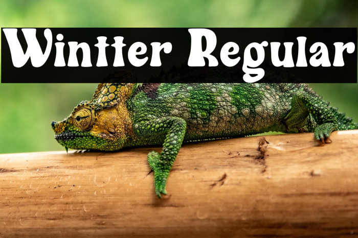 Wintter Regular Example 1