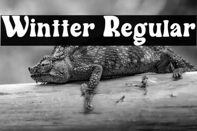 Wintter Regular Font examples