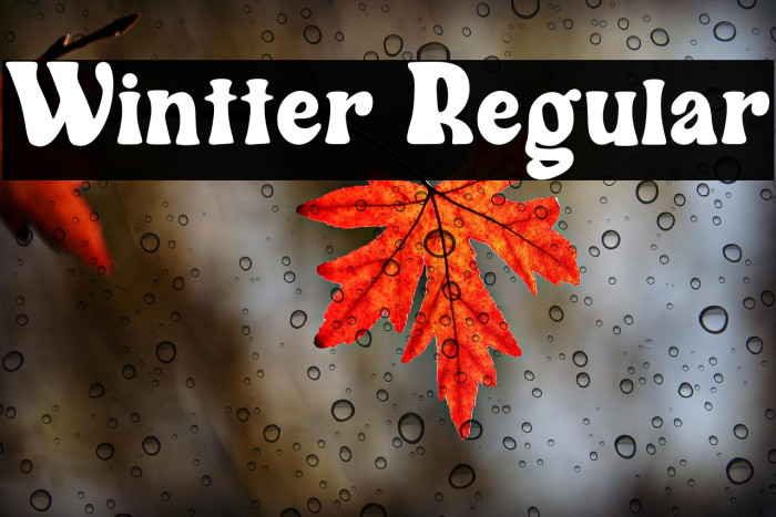 Wintter Regular Example 2