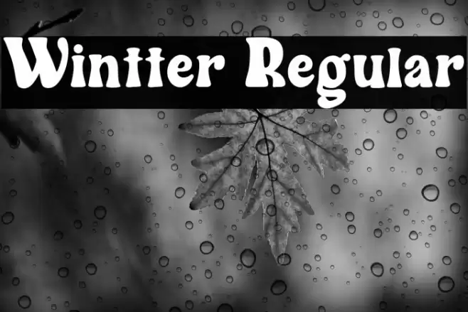 Wintter Regular Font examples